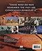 History: The Definitive Visual Guide (From The Dawn of Civilization To The Present Day)