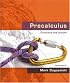Precalculus: Functions and Graphs (3rd Edition)