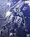 Bandai MG 1/100 Gundam TR-1 (Advanced Hazel) (Japan Import)