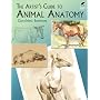 The Artist's Guide to Animal Anatomy