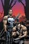 Wolverine/Punisher Volume 1 TPB