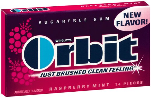 Orbit Sugarfree Gum Raspberry Mint, 14-Piece Packs (Pack of 24) by Orbit