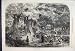 1868 Gathering Acorns Children Trees Old Print