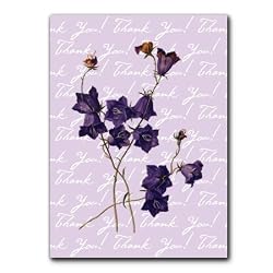 Thank You with Campanula - 5" x 7" Vellum Overlay Greeting Card