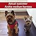 Comfort Fit Dog Harness No Pull No Escape Harness Adjustable Buckles Soft Padded Reflective Choke Step in Dog Vest with Easy Control Handle for Small Medium Large Dogs & Puppies