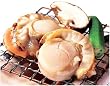 【北海道産】 剥き帆立湯霜造り 1kg（26～30個入）