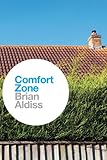 Comfort zone : a novel of present day discontents
