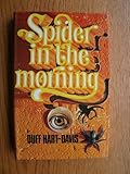 Spider in the morning