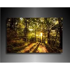 Kunstdruck Sonnenuntergang im Wald Bild 100x70cm k. Poster / Weitere Bilder - Wandbilder - Kunstdrucke - Foto auf Leinwand finden Sie bei Leinwandbilder org - Alle Bilder fertig gerahmt mit Keilrahmen. Afrika Tiere Bilder, Landschaften, Blumen, Pfanzen, Natur_Bilder