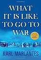 What It Is Like to Go to War