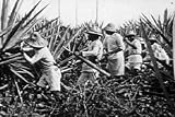 South America's Role in WWII, US Propaganda: Gracias Amigos DVD (1944)