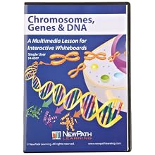 ETA hand2mind Chromosomes, Genes, and DNA CD-ROM, Single-user license