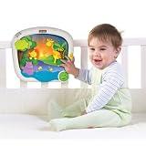 Tiny Love Day and Night Soother