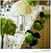 Saitec 18PCS Mixed 3 Sizes White Red Black Tissue Paper Pom Poms Pompom Wedding Birthday Party Decoration Baby Shower Favors