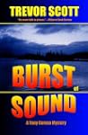 Burst of Sound (A Tony Caruso Mystery)