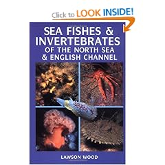 Sea Fishes and Invertebrates of the North Sea