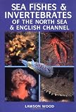 Sea fishes & invertebrates of the North Sea & English channel