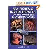 Sea Fishes and Invertebrates of the North Sea