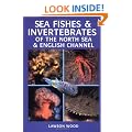 Sea Fishes and Invertebrates of the North Sea