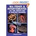 Sea Fishes and Invertebrates of the North Sea