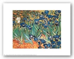 Iris Garden by Vincent van Gogh 10"x8" Art Print Poster