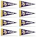 Rico Minnesota Vikings 8 Piece Mini Pennant Set