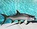 Taxidermy Quality 19" Fiberglass Tarpon Wall Mount