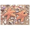 Postkarte Seesterne & Muscheln