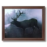 Elk Big Antler Rack Tree Bulging Animal Wildlife Picture Framed Art Print by 