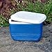 Miniature Fairy Garden Cooler, Blue