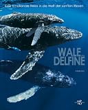 Produkt-Bild: Wale und Delfine- Eine emotionale Reise in die Welt der sanften Riesen (Natur, Tiere)