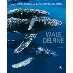 Wale und Delfine- Eine emotionale Reise in die Welt der sanften Riesen (Natur, Tiere)