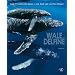 Wale und Delfine- Eine emotionale Reise in die Welt der sanften Riesen (Natur, Tiere)
