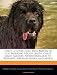 That's a Good Dog: Dog Breeds of the Working Group (Akita, Great Dane, Mastiff, Newfoundland, St. Bernard, Siberian Husky, and More)