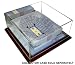 Kentucky Wildcats Limited Edition Collegiate Basketball Replica Stadium - Platinum Series