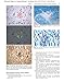 Differential Diagnosis in Surgical Pathology, 3e