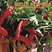 Chili Peppers 2008 Wall Calendar (Spanish, German, French and English Edition)