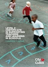 Supporting Teaching and Learning Level 2 Logbook