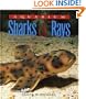 Aquarium Sharks & Rays: An Essential Guide to Their Selection, Keeping, and Natural History