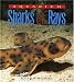 Aquarium Sharks & Rays: An Essential Guide to Their Selection, Keeping, and Natural History