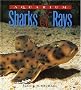 Aquarium Sharks & Rays: An Essential Guide to Their Selection, Keeping, and Natural History