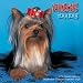 yorkshire_terrier20yorkshire terrier - Yorkshire Terriers 2009 Wall Calendar