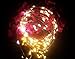 Starry Lights With Remote Control 20 Feet 120 LED Warm White Dimmable String Light. Lights Blink or Fade. Fairy or Flashing Effects.