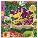 Disney Fairies Tinkerbell and the Great Fairy Rescue Create Your Own Glitter Memory Stone