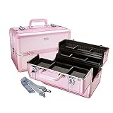 Metro Train Case - Pink