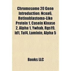 Chromosome 20 gene Introduction: BCL2-like 1, NCOA6, Retinoblastoma-like protein 1,... by Source: Wikipedia
