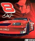 Nascar Dale Earnhardt Jr Royal #8 with Race Car Royal Plush Raschel Throw Blanket