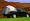 Campright Truck Tents, AVALANCHE