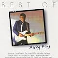 Best of Ricky King