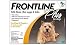 Pet Supplies : Frontline Plus for Small dogs up to 22 Lbs 12 Dose (Twelve Dose (12-applications))